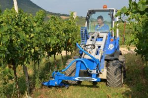 Inter-row Mower - Multione