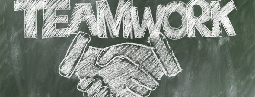 Highlights - Multione