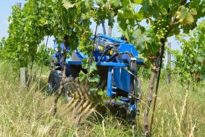 String Shoot Remover - Multione