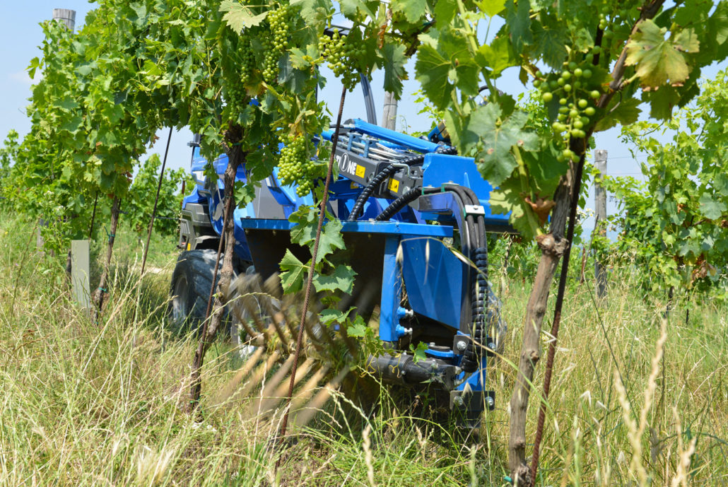 String Shoot Remover - Multione