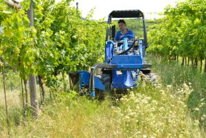 String Shoot Remover - Multione