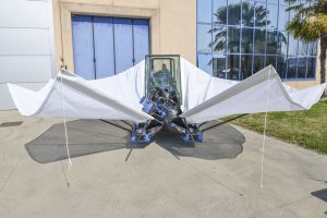 Tree Shaker With Collector - Multione